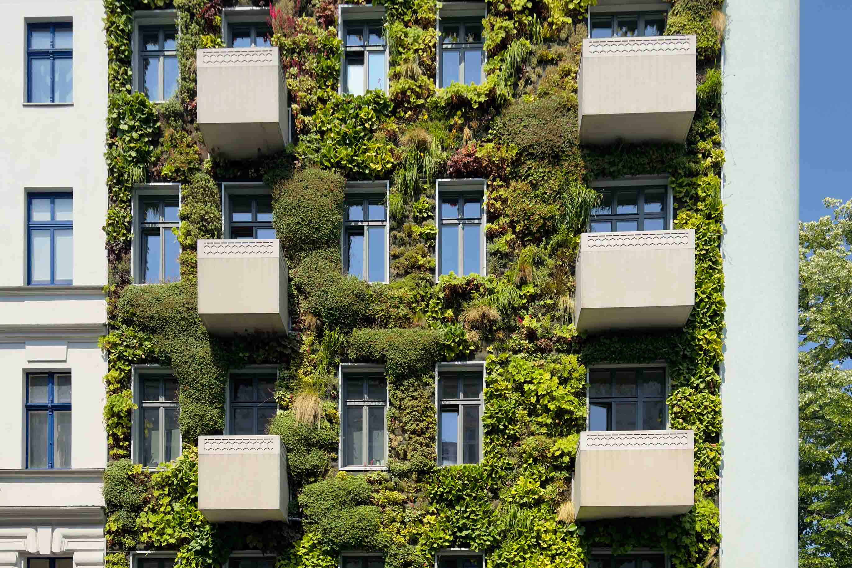 Das Bild zeigt die Fassade eines Gebäudes, das mit einer vertikalen Begrünung bedeckt ist. Dazwischen sind mehrere Fenster sichtbar, die gleichmäßig über die Fassade verteilt sind. Einige weiße Balkone ragen aus der begrünten Wand hervor. Der Himmel und ein Baum sind am rechten Bildrand zu erkennen.
