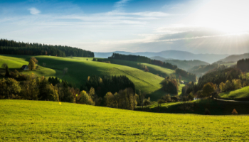 Hügelige, bewaldete Landschaft, Sankt-Margen, Schwarzwald