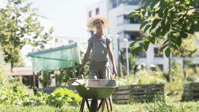 Person mit Strohhut schiebt eine grüne Schubkarre durch einen urbanen Gemeinschaftsgarten bei Sonnenschein, im Hintergrund sind Gemüsebeete und Wohngebäude zu sehen.