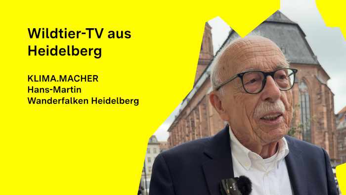 Hans-Martin Gäng steht vor der Heiliggeistkirche in Heidelberg.