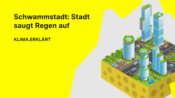 beispielhafte Illustration der Funktionsweise einer Schwammstadt