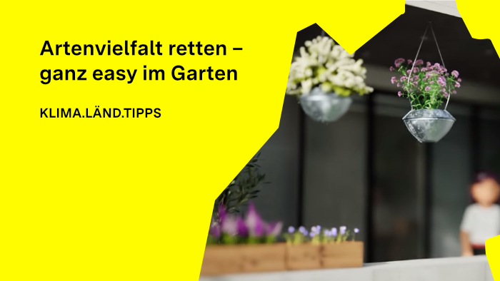 Illustration eines Balkons mit Balkonkästen und Hängepflanzen. Eine Frau steht auf dem Balkon.