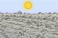 Illustration einer ausgetrockneten, kargen Landschaft mit rissigem Boden unter einer gelben Sonne am blauen Himmel.