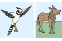 Zwei Tierillustrationen nebeneinander: links ein schwarz-weißer Vogel mit ausgebreiteten Flügeln und rechts ein stilisierter brauner Wolf oder Hund auf grünem Untergrund.