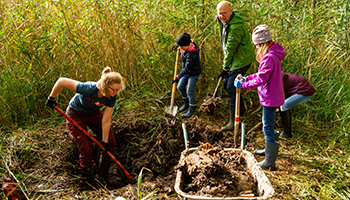 Eine Gruppe unterschiedlich alter Personen graben mit Spaten im Moorboden ein Loch.