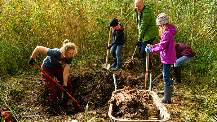 Eine Gruppe unterschiedlich alter Personen graben mit Spaten im Moorboden ein Loch.