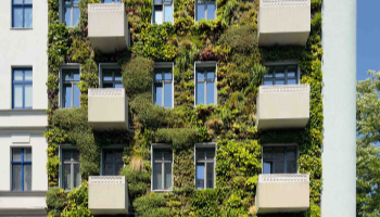 Das Bild zeigt die Fassade eines Gebäudes, das mit einer vertikalen Begrünung bedeckt ist. Dazwischen sind mehrere Fenster sichtbar, die gleichmäßig über die Fassade verteilt sind. Einige weiße Balkone ragen aus der begrünten Wand hervor. Der Himmel und ein Baum sind am rechten Bildrand zu erkennen.