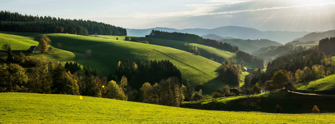 Hügelige, bewaldete Landschaft, Sankt-Margen, Schwarzwald